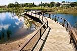 large boardwalk 2 camp hill retention basin.jpg